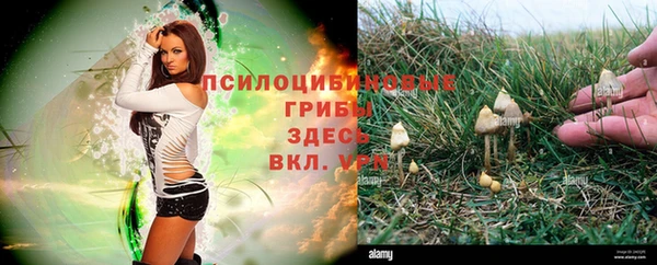кокс Абаза