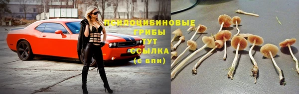кокс Абаза